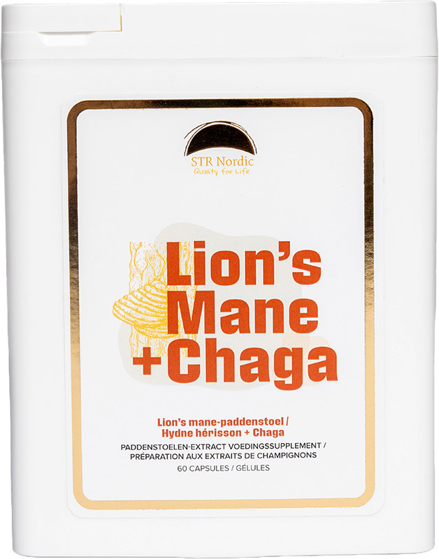 Lion’s Mane & Chaga